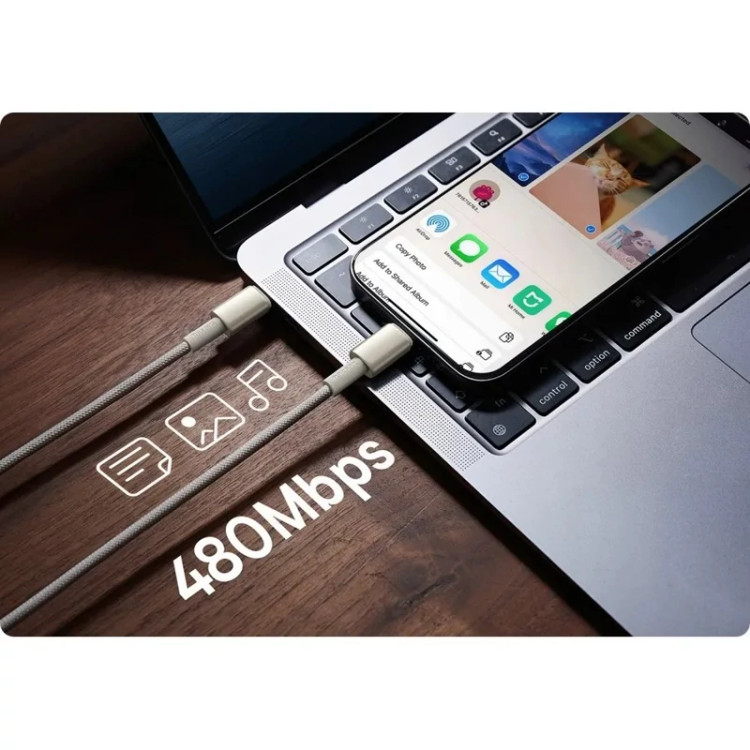 کابل شارژ سریع Type-C بیسوس Tungsten Gold توان 100 وات طول 1 متر
